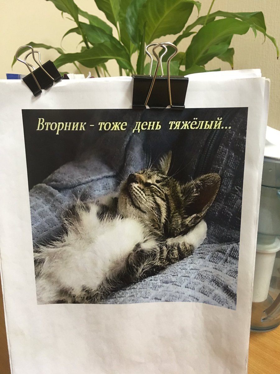 Вторник приколы