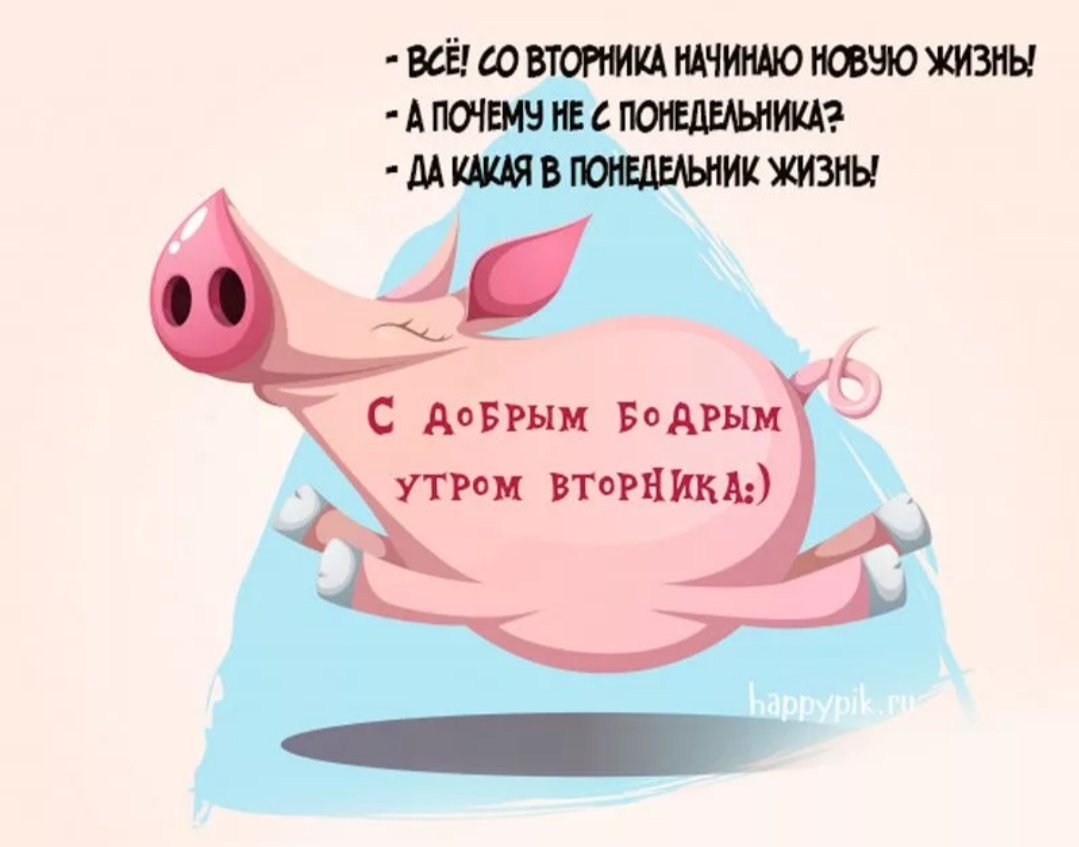 Доброе утро вторника