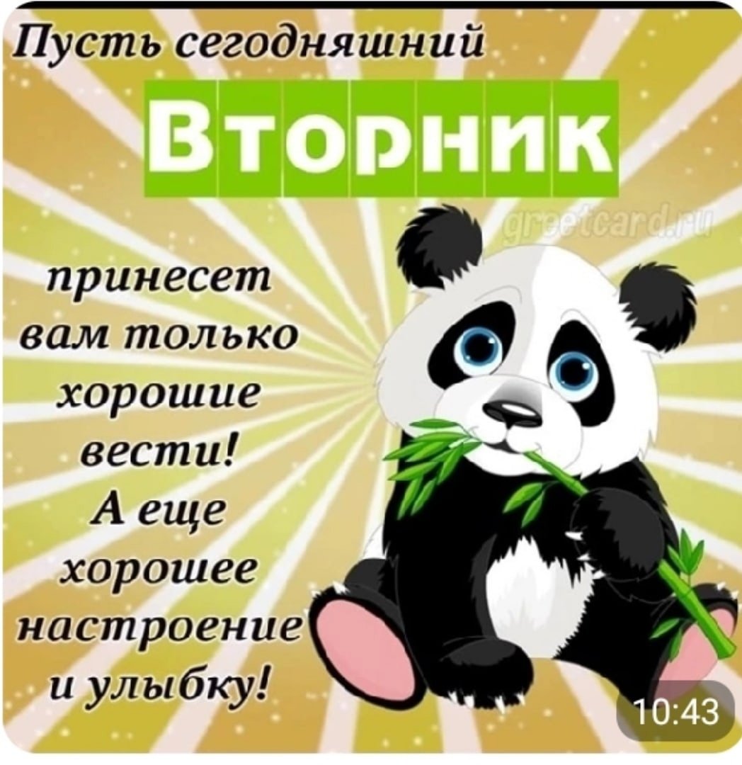 Хорошего вторника милый