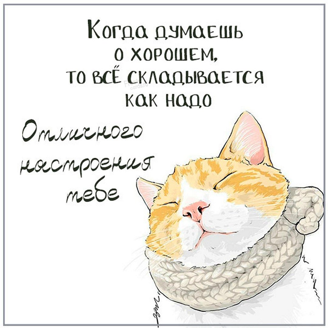 Утро вторника прикольные