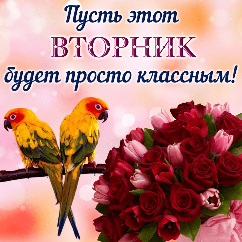 Доброе утро вторника