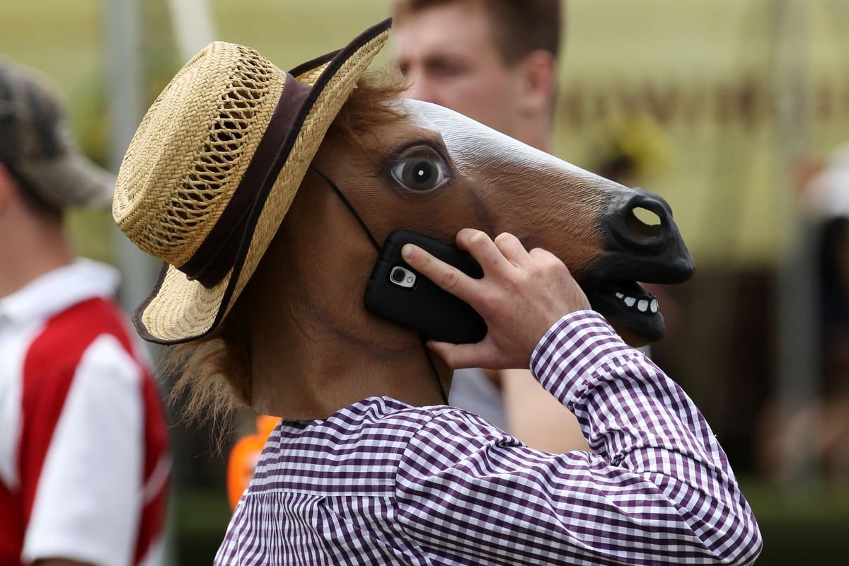 Рассказать про лошадь