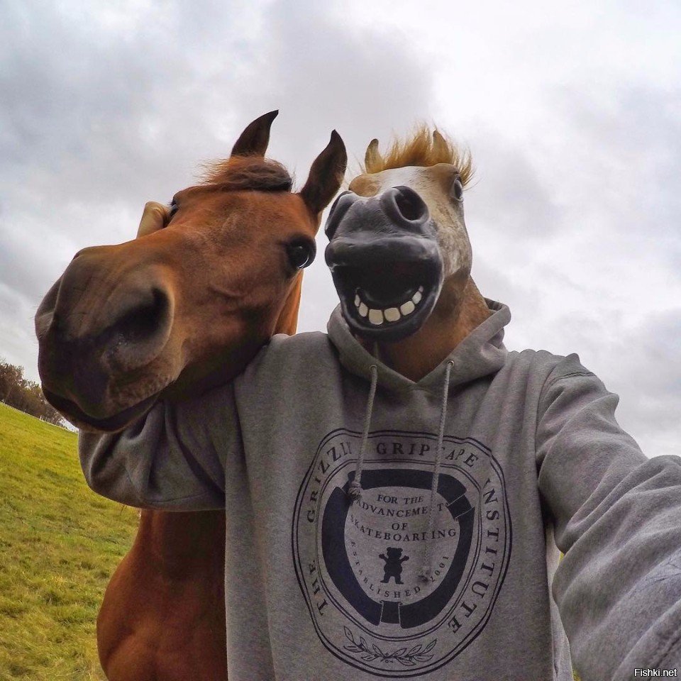 Селфи с лошадью