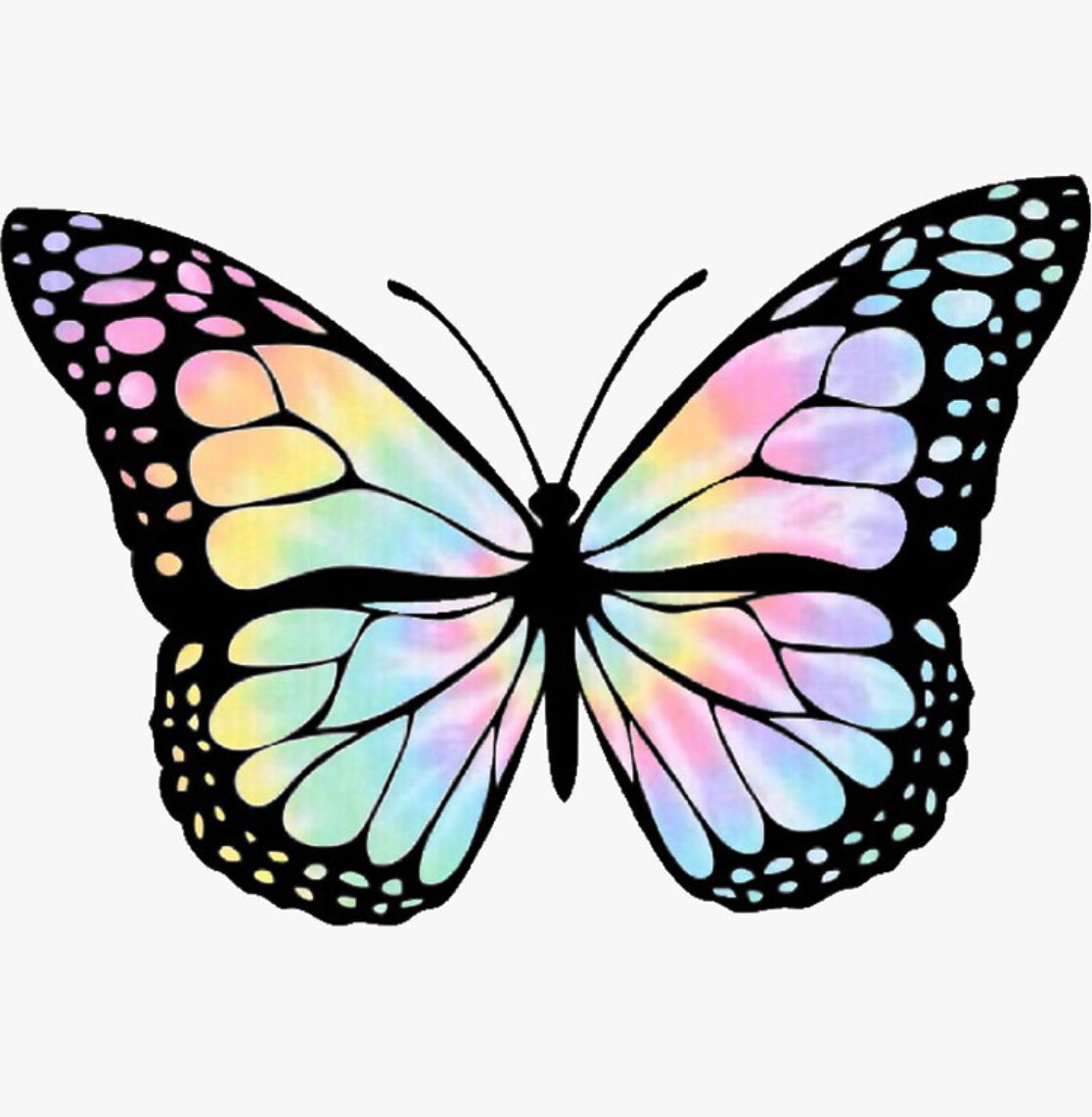 Бабочка скопировать. Бабочка рисунок. Стикеры "бабочки". Наклейки "бабочки". Бабочки рисунки цветные.
