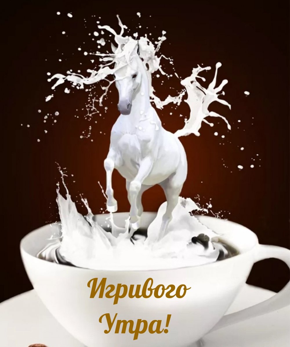 Лошадь и кофе