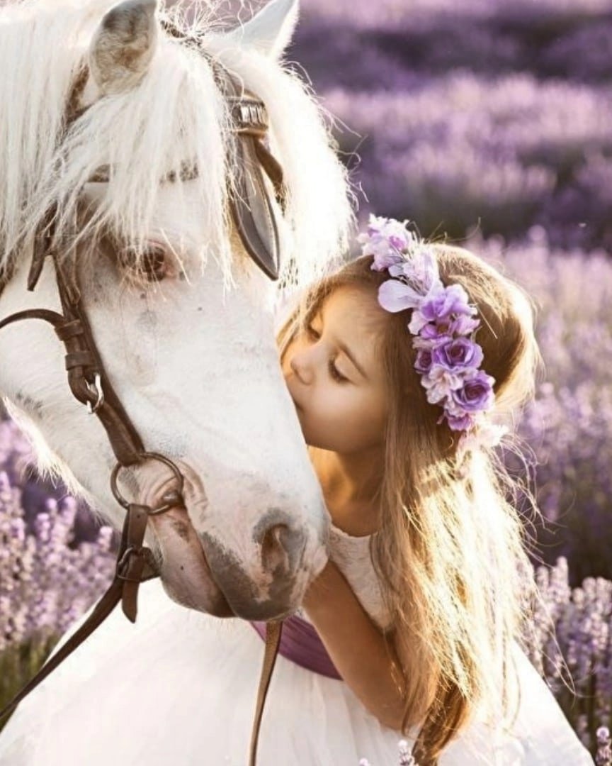 Девочка и конь