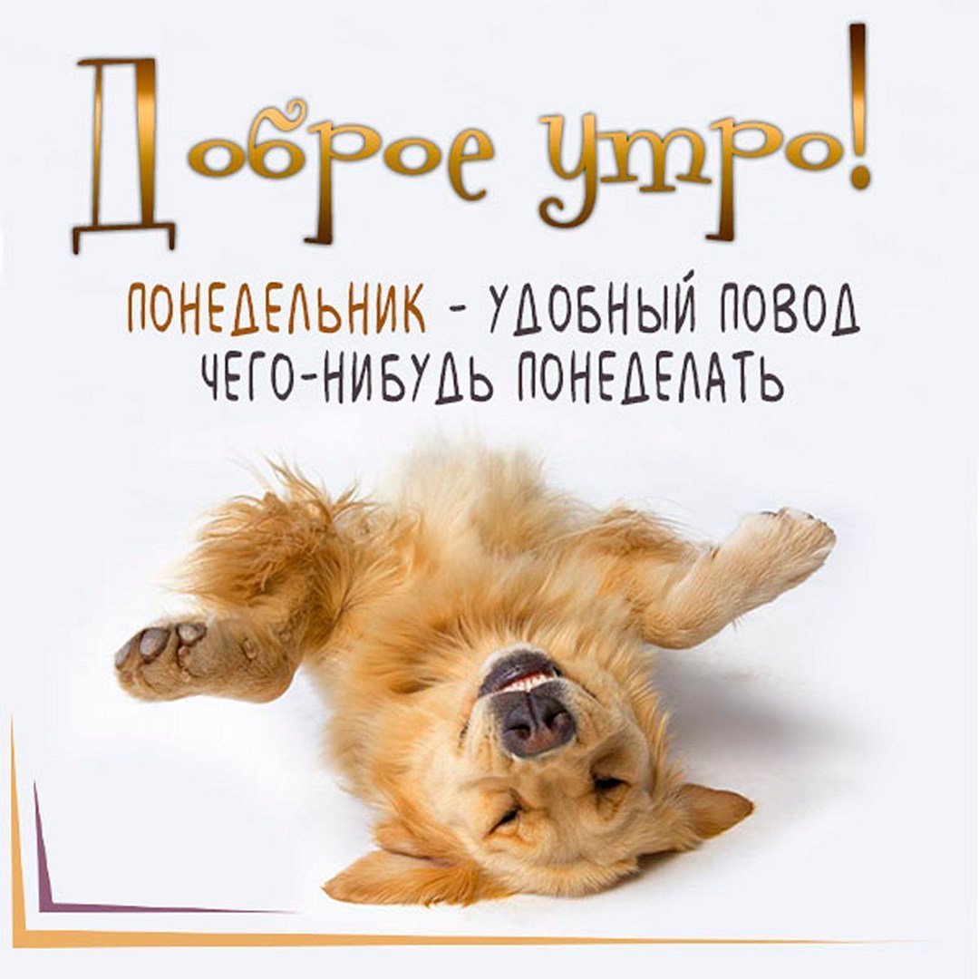 Дождливый понедельник доброе утро картинки