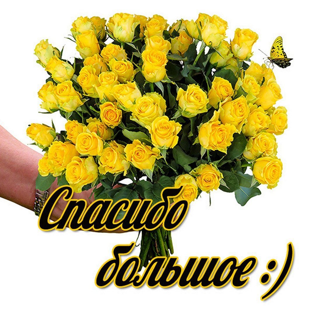 Благодарность за подарок