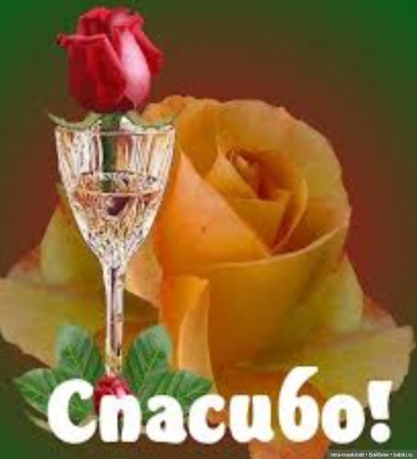 Спасибо картинки с надписями