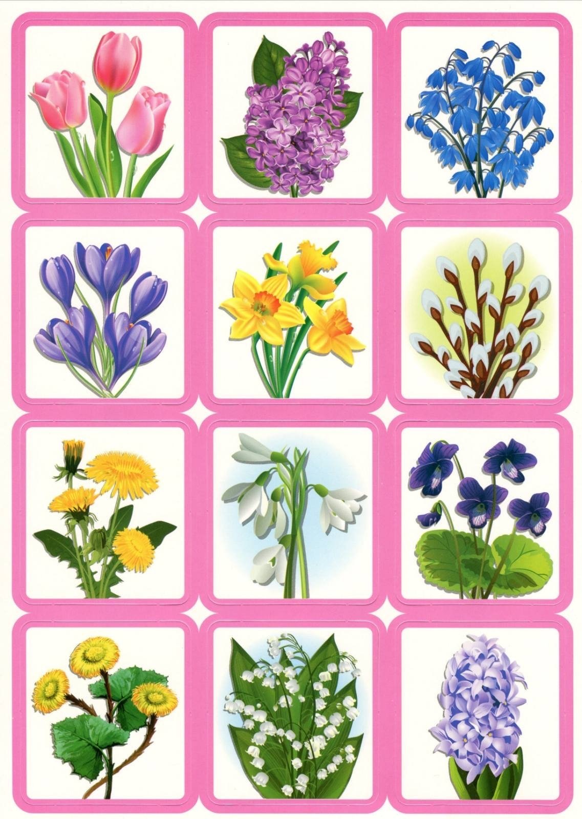 Цветы весной картинки для детей