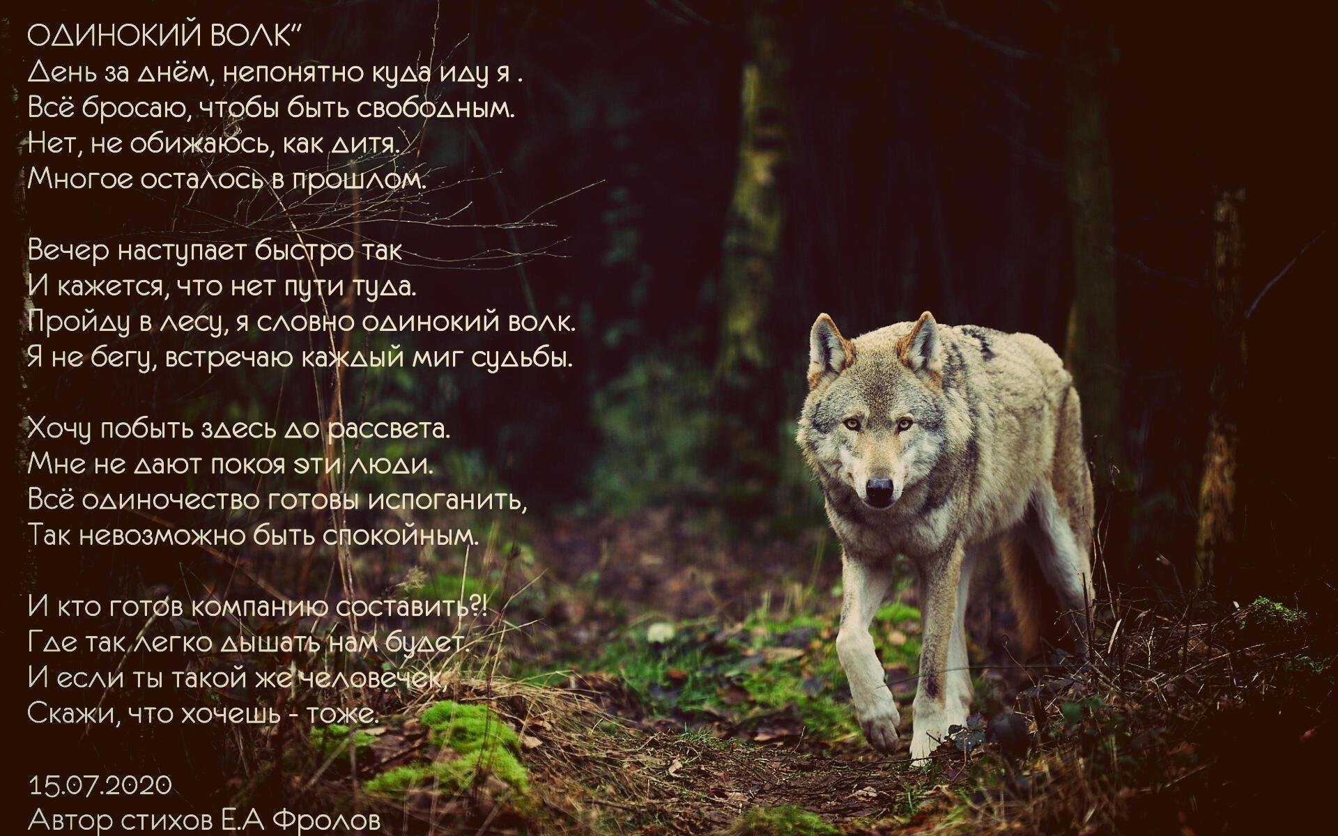картинки волк с надписью про любовь