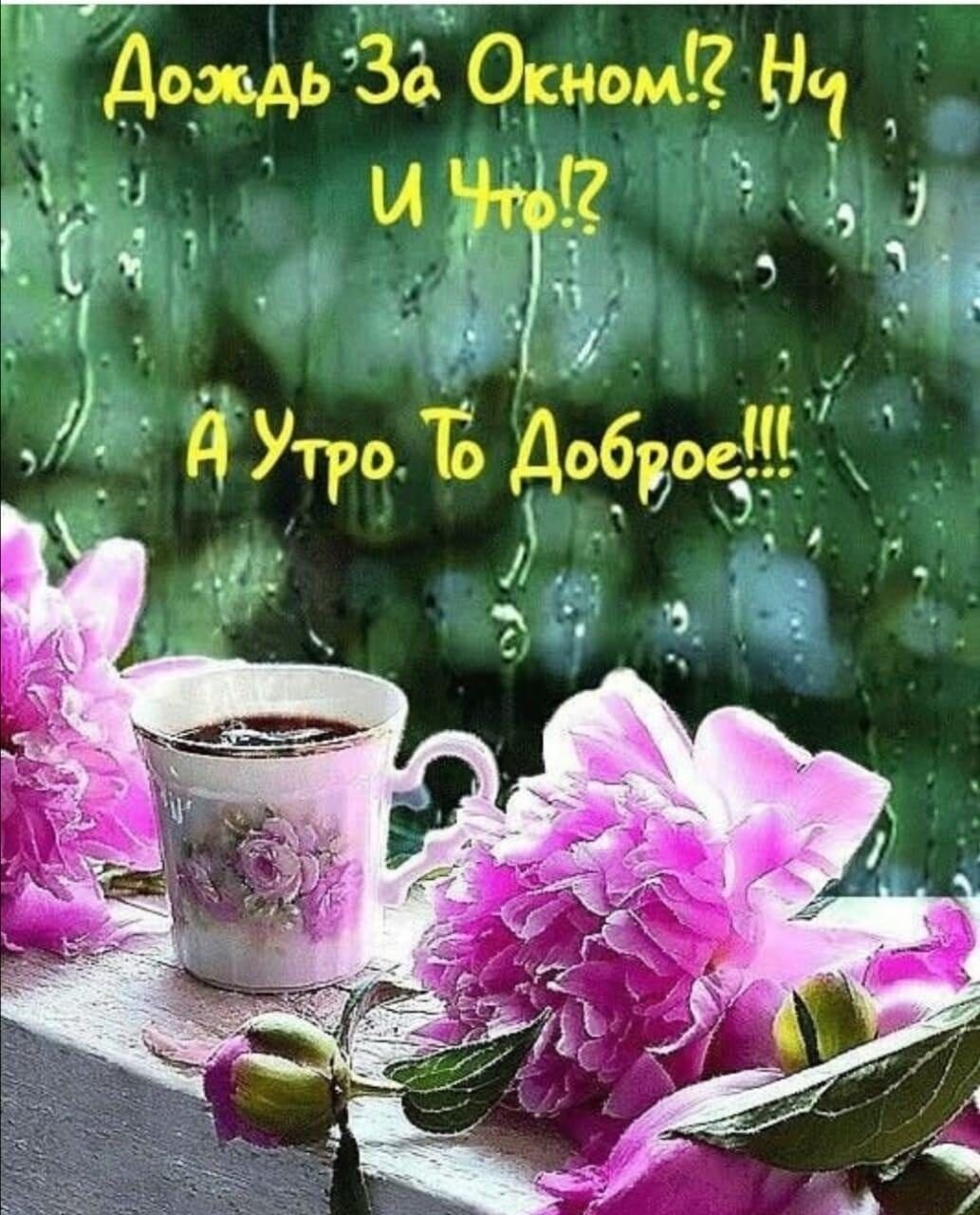 Доброе дождлтвого утро