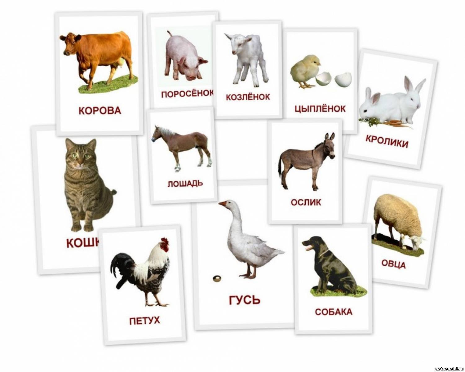 Животные обучающие для детей. Карточки с животными. Карточки животные для детей. Карточки домашние животные для малышей. Домашние жифотныекарточки для детей.