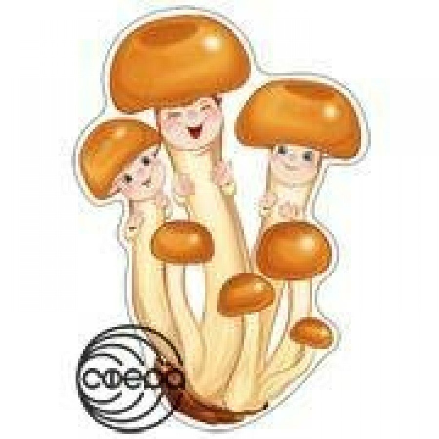 Грибочки для детского сада