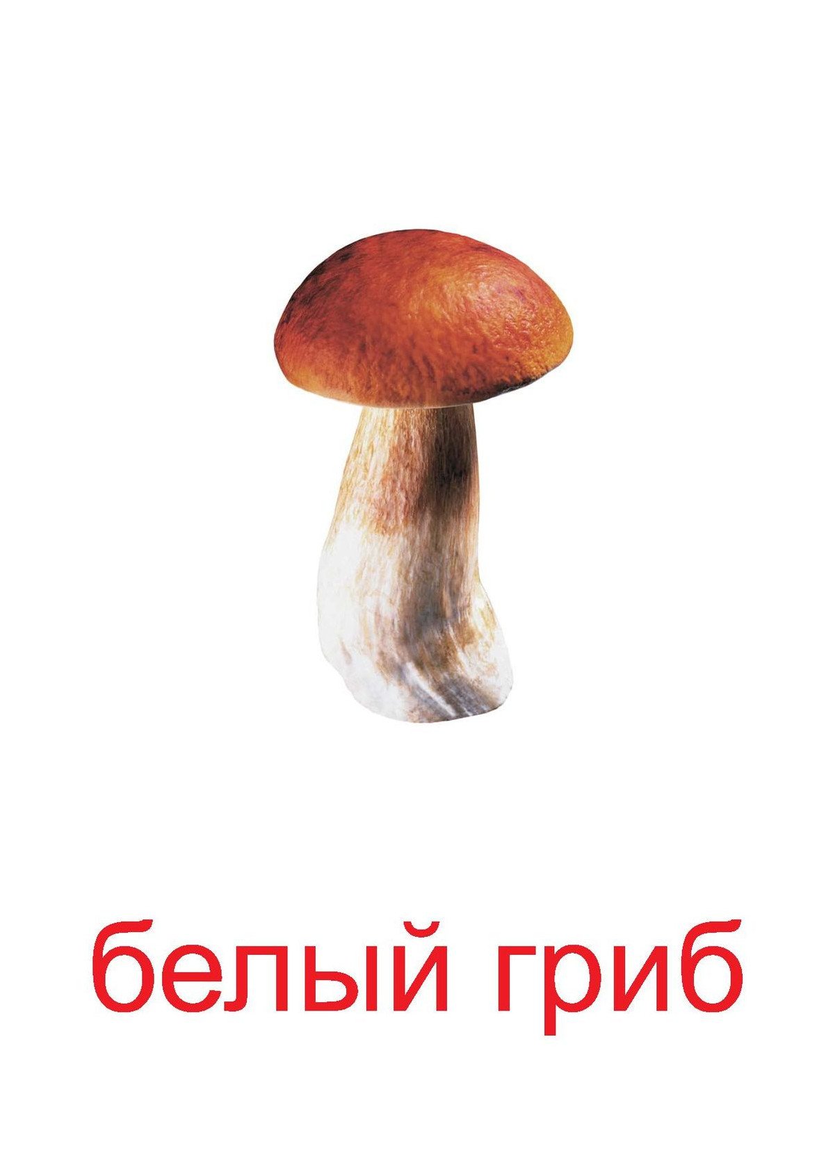 Карточки Домана грибы съедобные и несъедобные