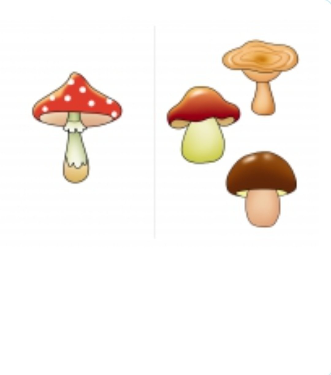 Раздаточный материал грибочки для детского сада