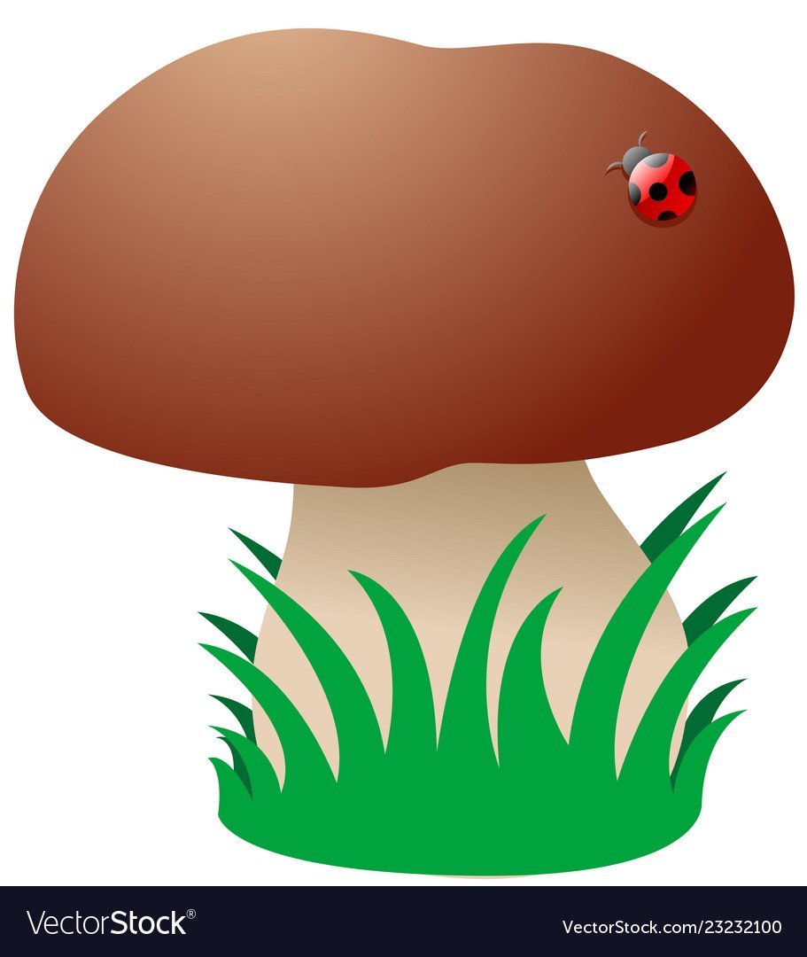 Грибы для фланелеграфа