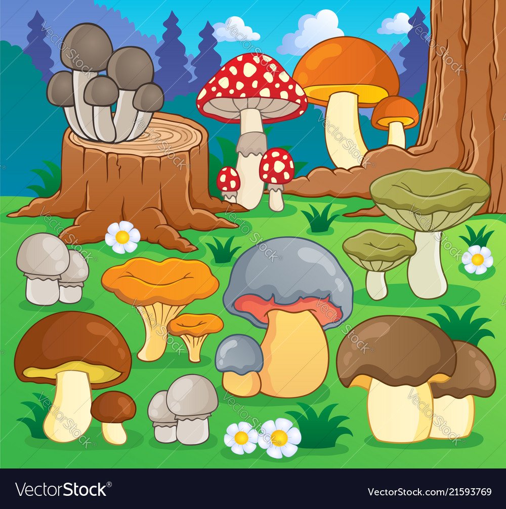 Грибная Полянка для детей