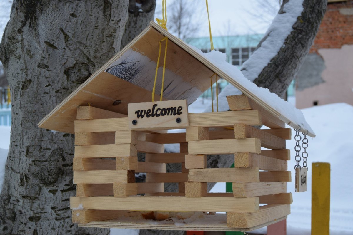 Птичья столовая