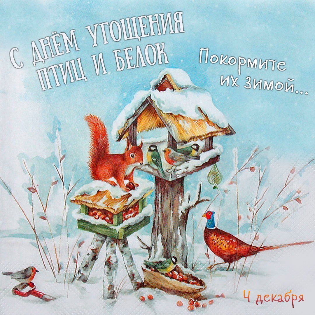 4 Декабря праздник птиц и белок