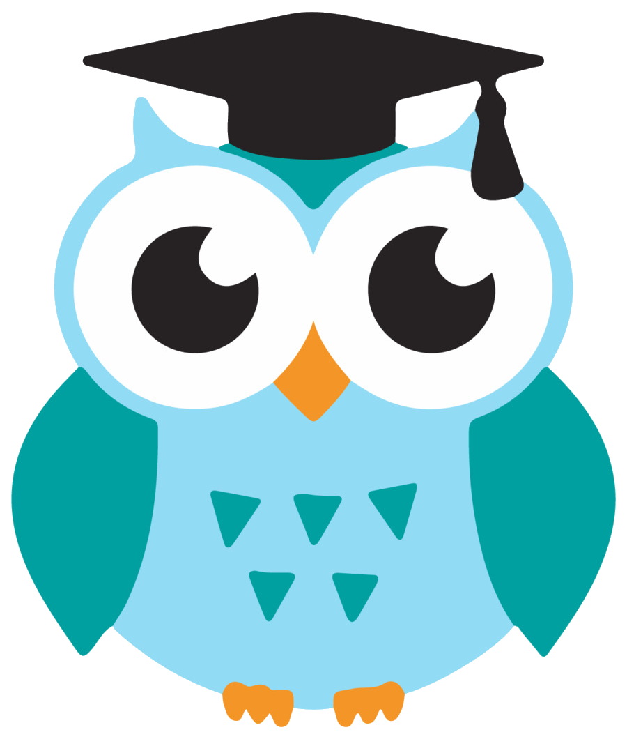 Математическая Сова