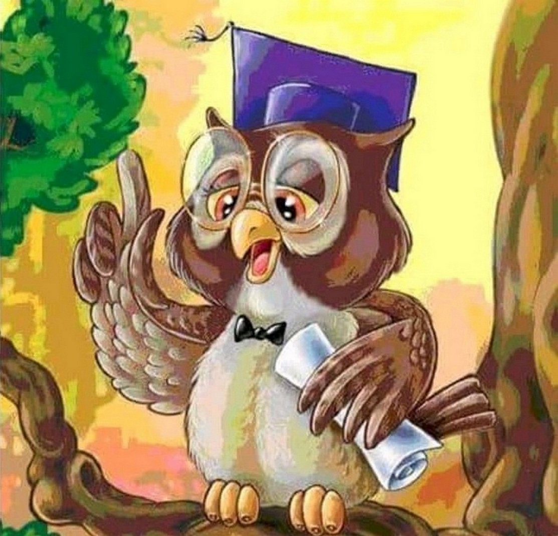 Мудрая Сова