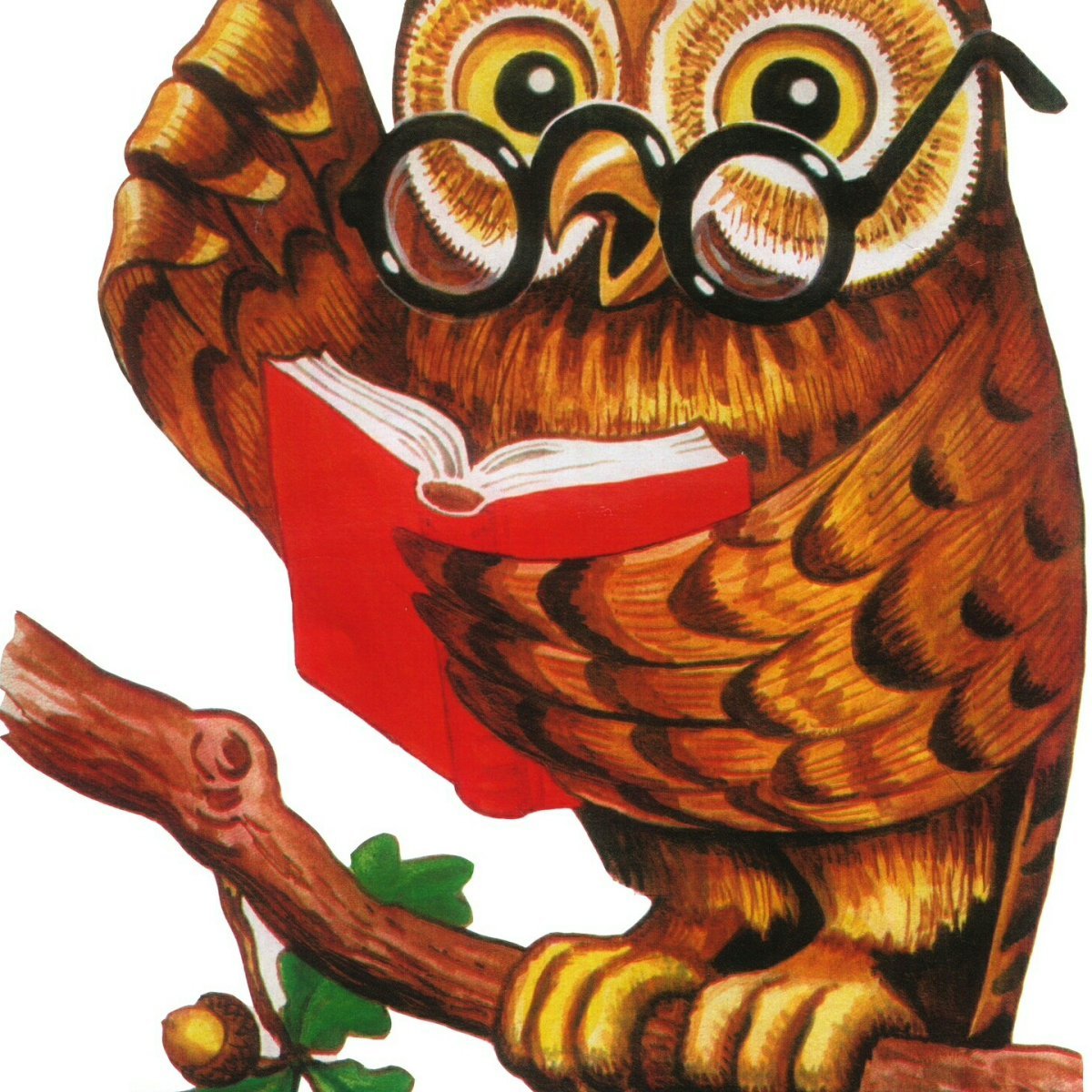 Филин в очках с книгой