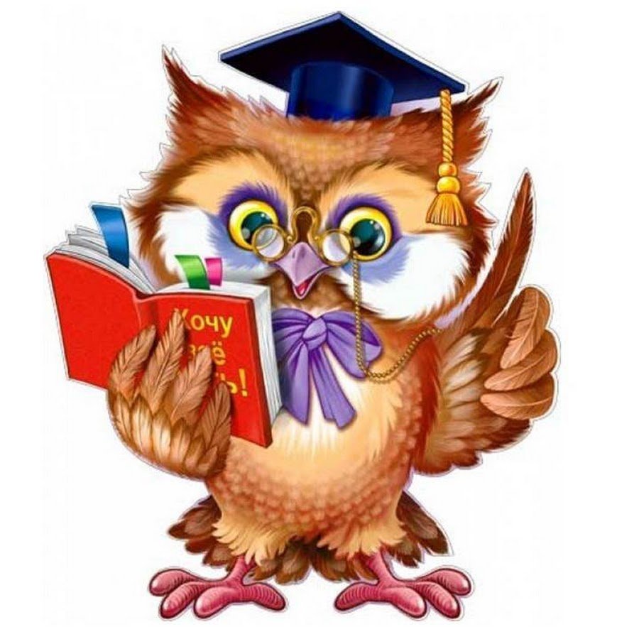 Сова с книгой