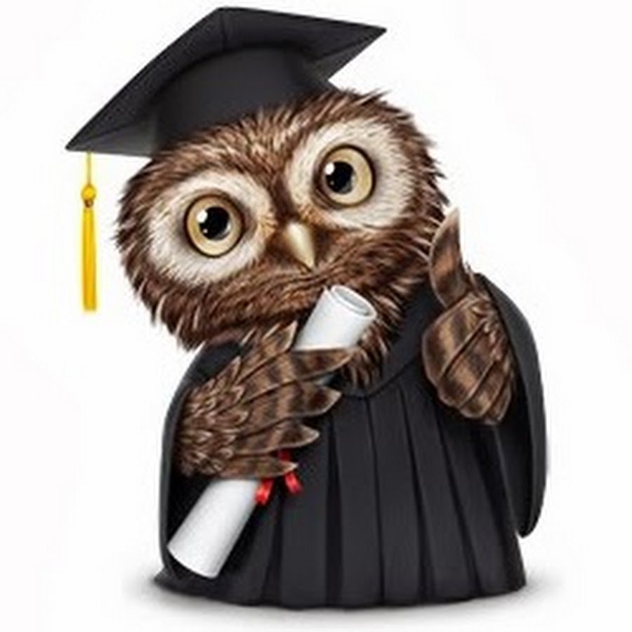 Сова в шапке магистра