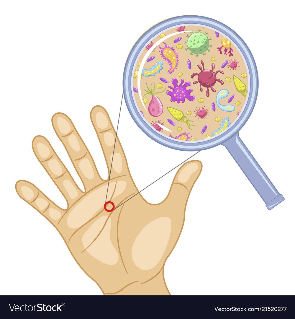 Микробы на руках для детей