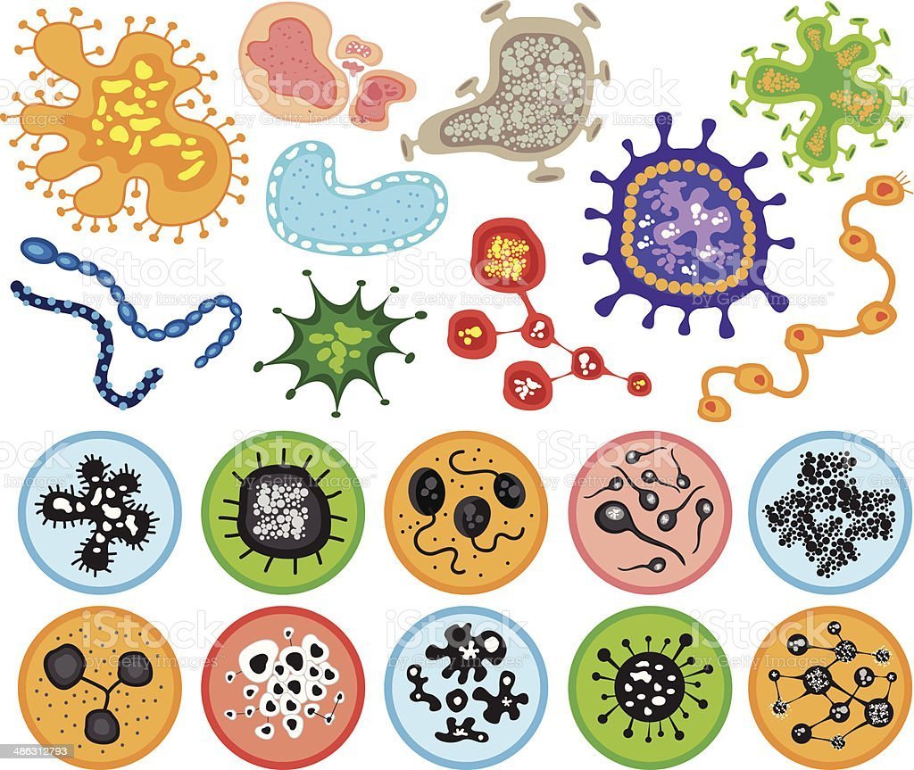 Рисунки вирусов и бактерий