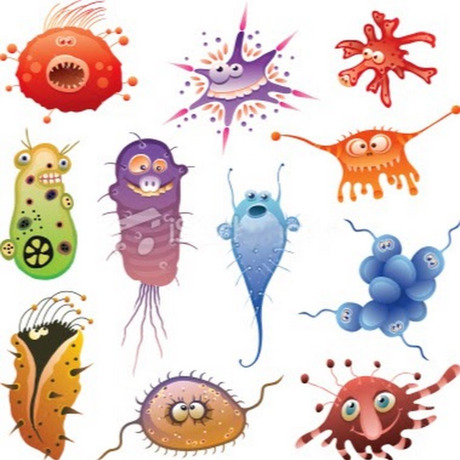 Микробы для детей