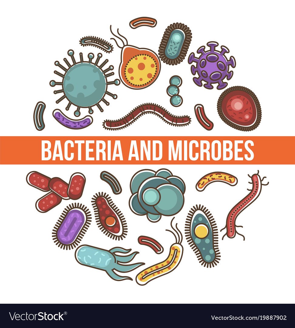 Плакат бактерии