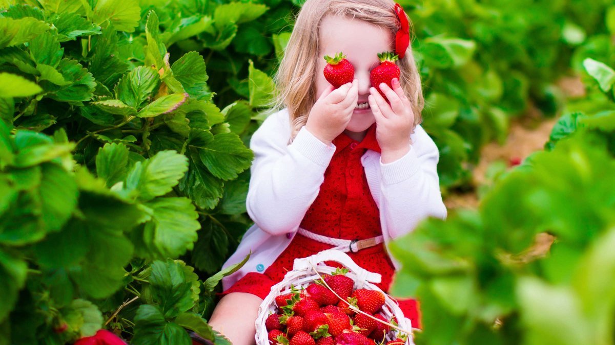 Клубника для детей