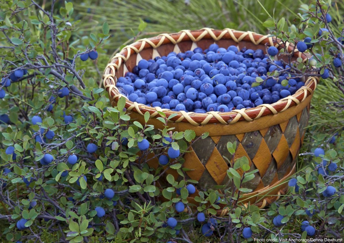 Черника в корзинке