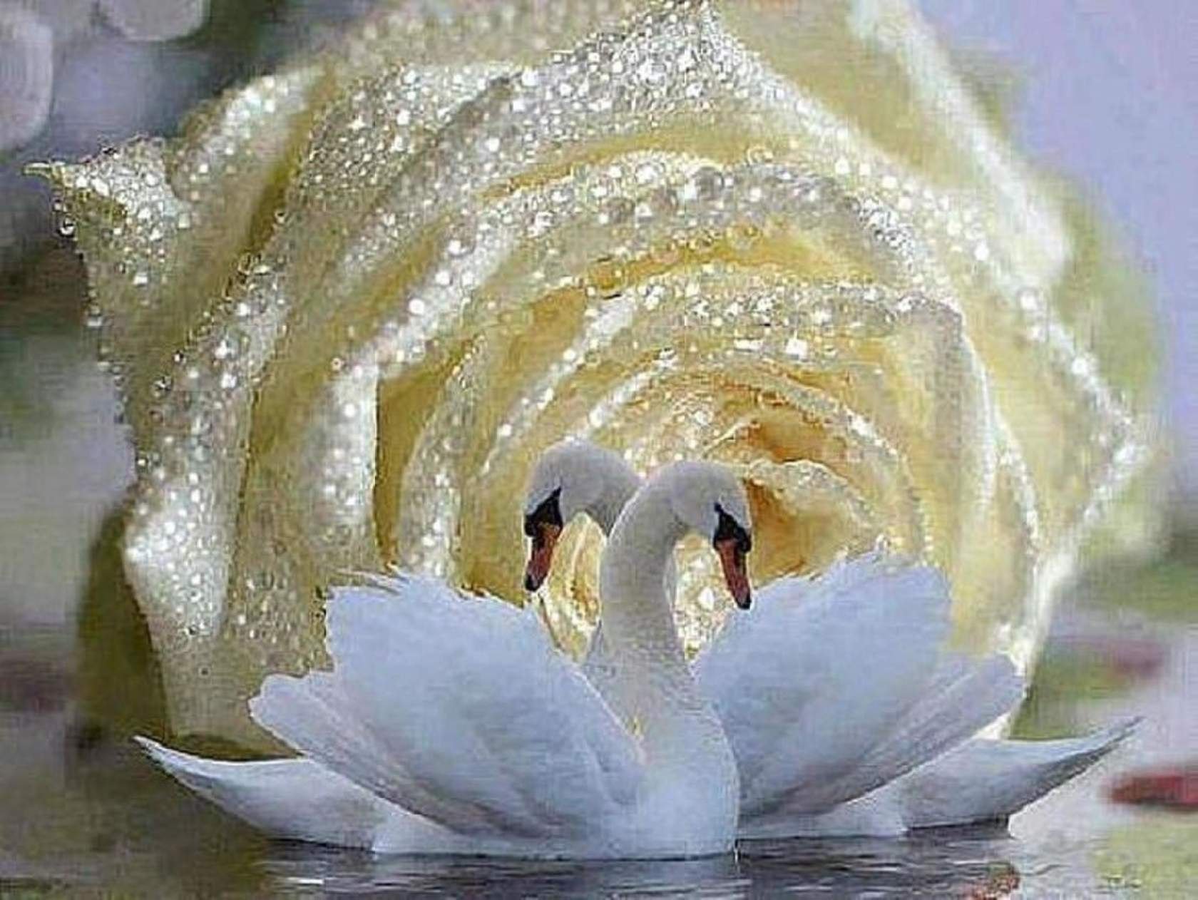 Побольше счастья и любви. Красивые белые лебеди и цветы. Счастье лебеди. Доброе утро лебеди. Открытки Лебединая верность.