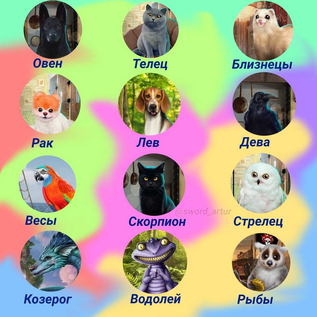 Животные по знаку зодиака
