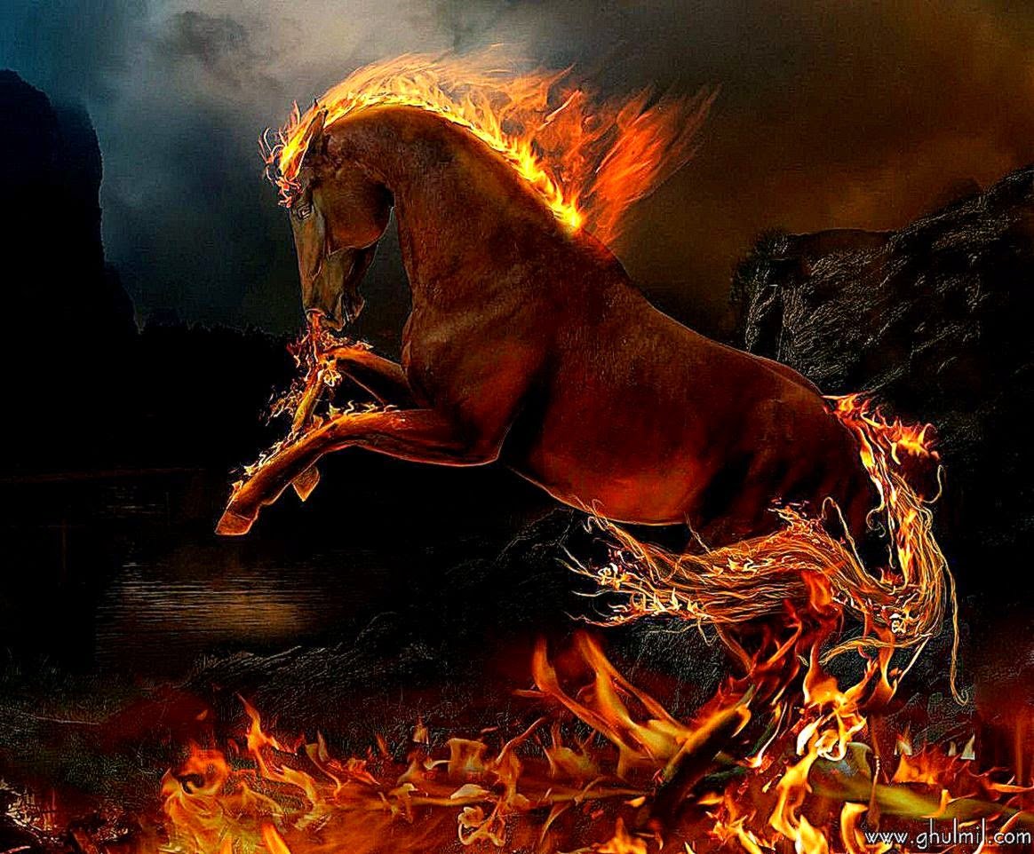 Реальный конь Огненный