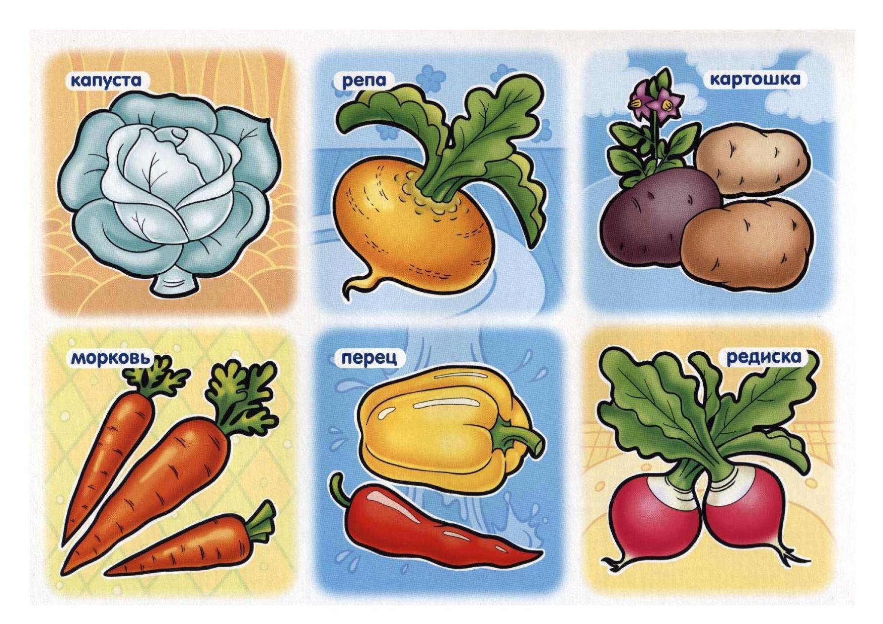 Игра называется овощи. Карточки с изображением овощей. Овощи для детей. Карточки овощи для детей. Овощи для дошкольников.