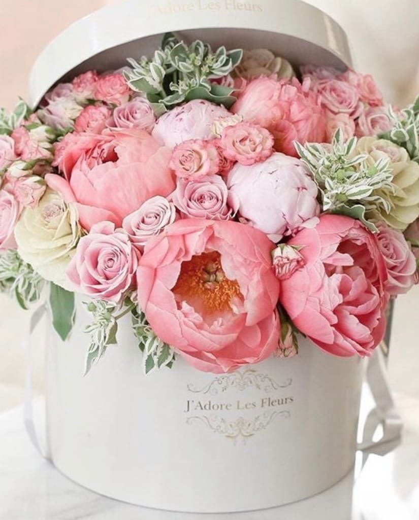 С днём рождения девушке красивые пионы