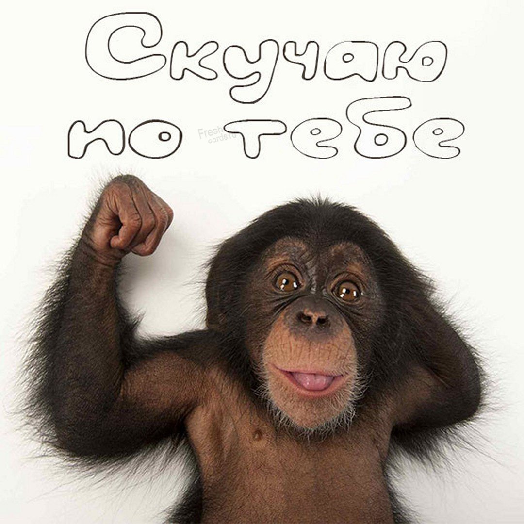 Скучаю смешные картинки