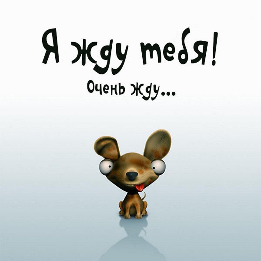 Скучно картинки прикольные