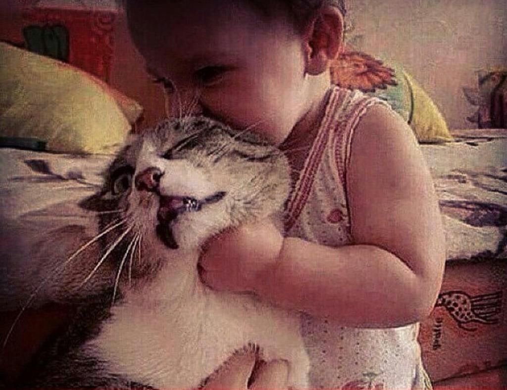 Демотиваторы дети и животные