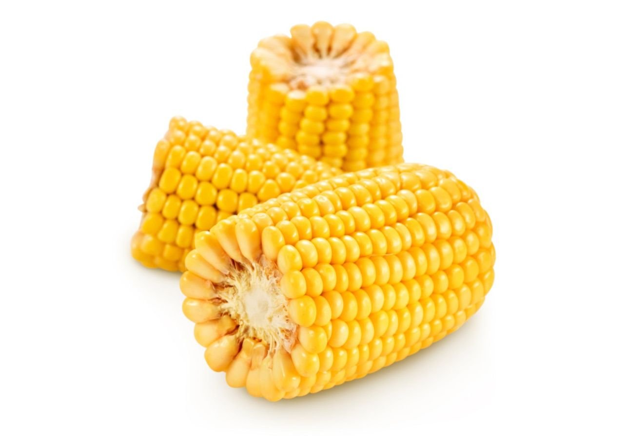 Кукуруза вареная в початках. Pl 570 кукуруза. Кукуруза в початках вареная. 4607034029487 Кукуруза. Кукурузный початок.