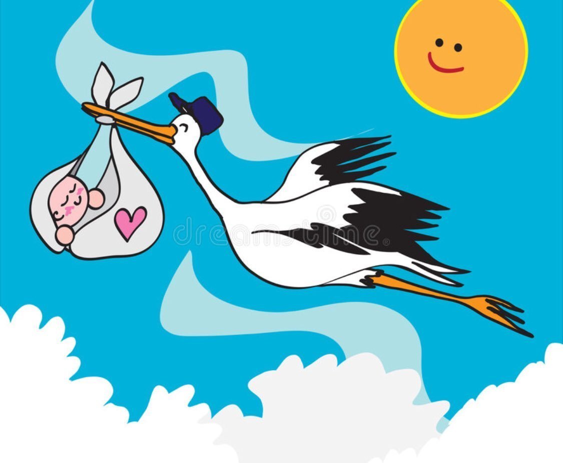 Аист скоро буду