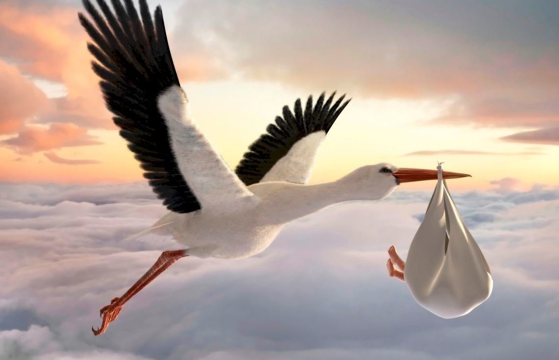 Аист с ребенком в клюве