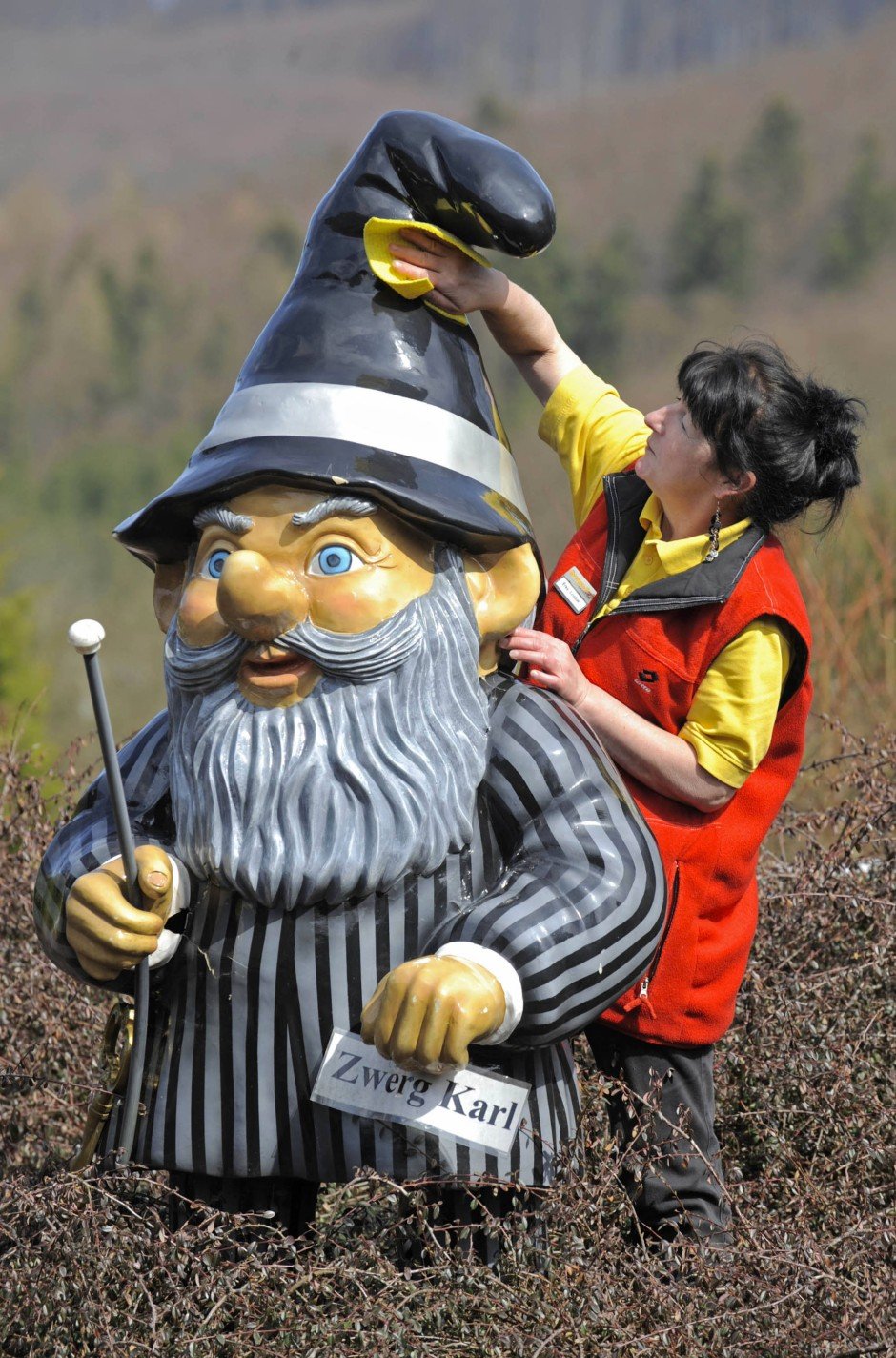 Прикольные Гномы