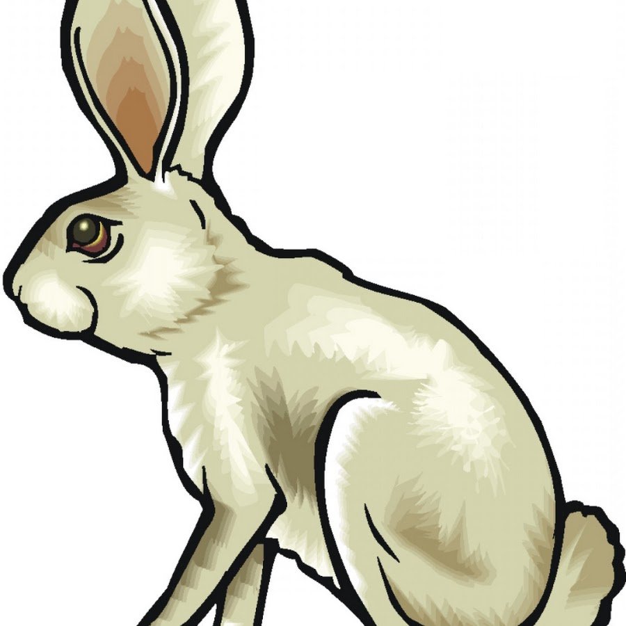 Заяц серый рисунок для детей