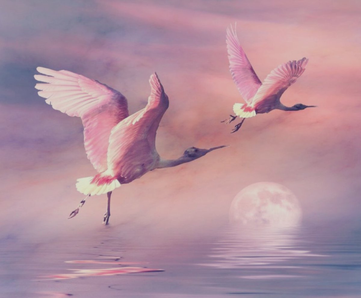 Птица взлетает