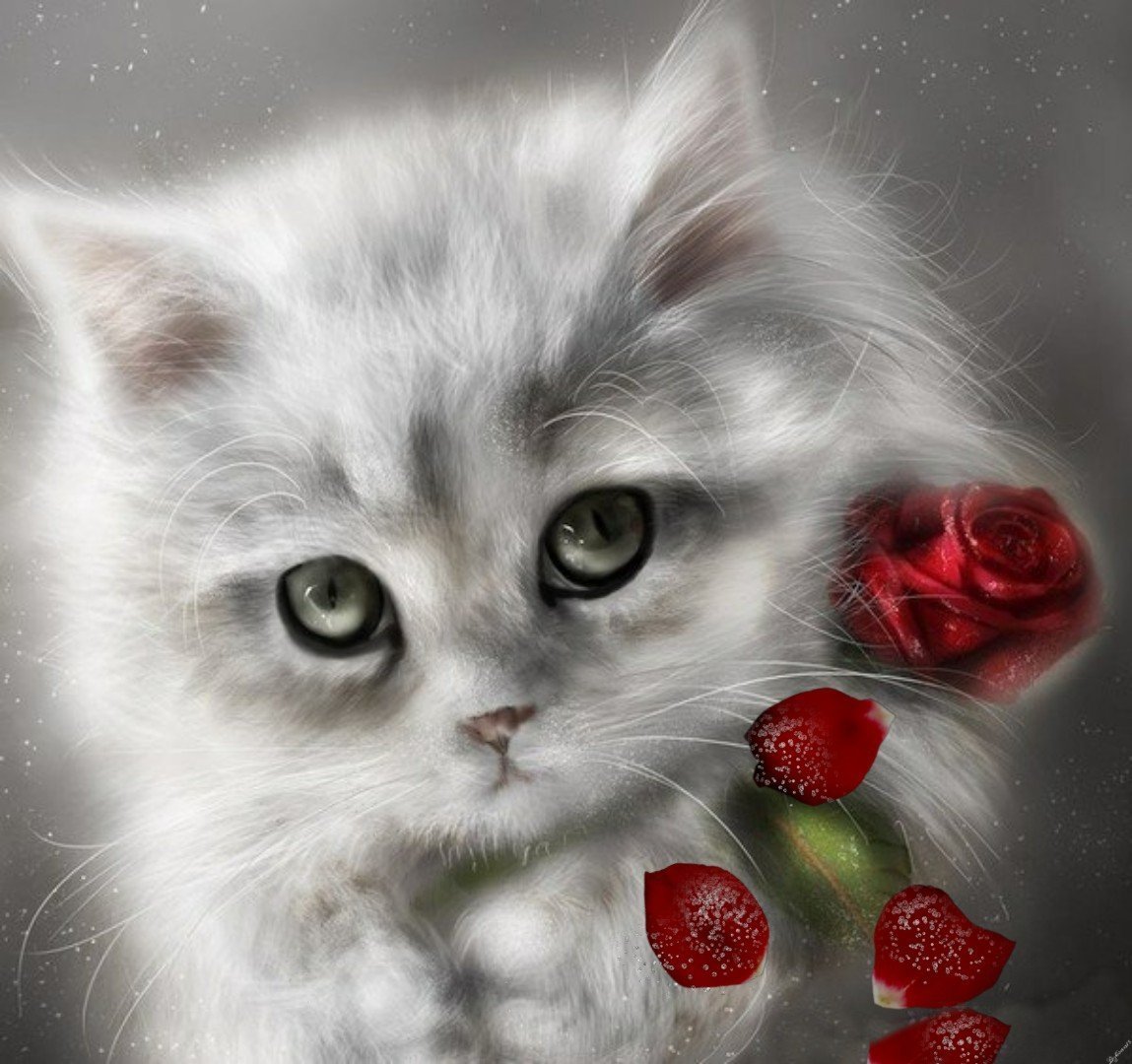 Я тебя люблю котенок